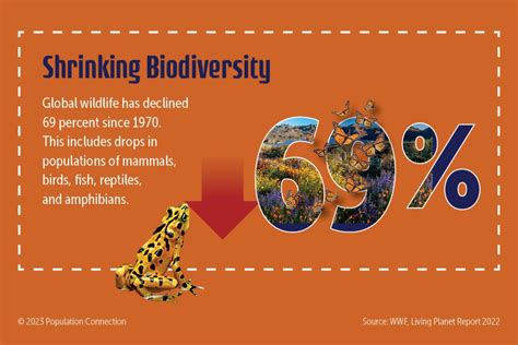 Image result for Biodiversity Loss Graph