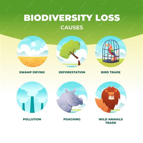 Image result for Biodiversity Loss Graph