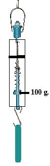 Image result for How Does a Spring Scale Work