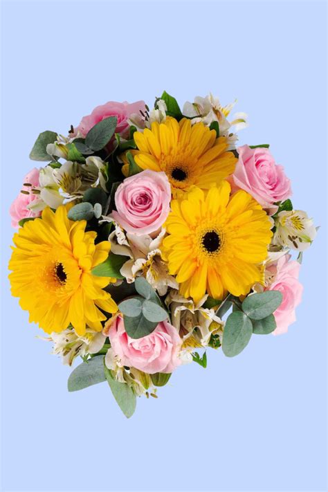 Afbeeldingsresultaten voor Arreglos ENC