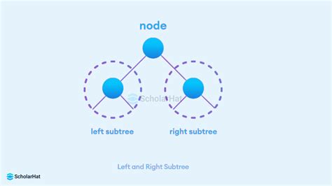 Toradh íomhá ar Forest and Trees Data Structure in Research