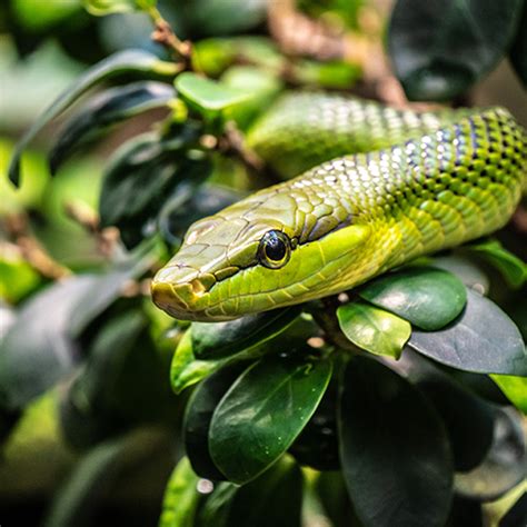 Image result for Amazon Roblox Sweater