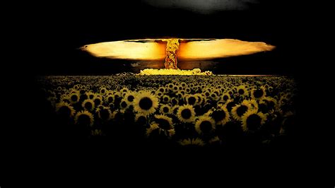 Image result for Roblox Mushroom Cloud