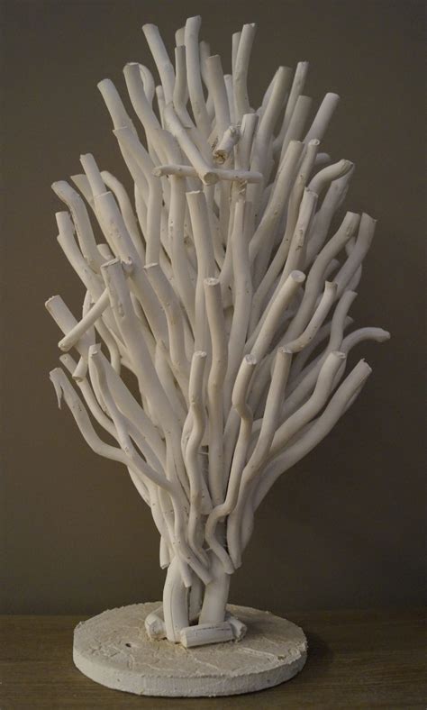 Image result for Java Boompje