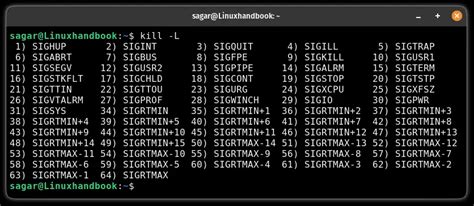 Image result for Kill Command Linux