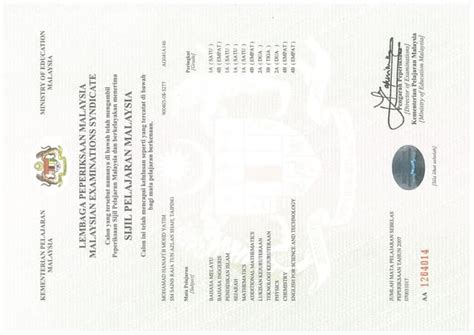 Toradh íomhá ar What Is SPM Transcript