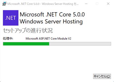 Image result for ASP.NET Core Hosting Bundle
