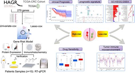 Image result for Research Protocol Flow Chart
