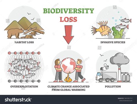 Image result for Biodiversity Loss Graph