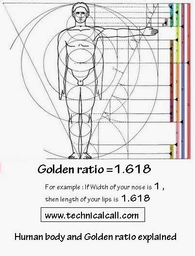 Image result for Fibonacci INR