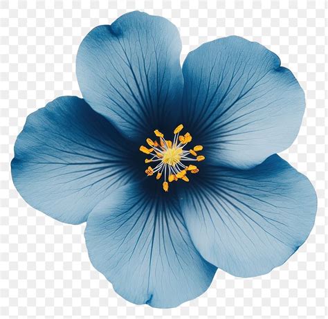 Image result for Aesthetic Card Icon