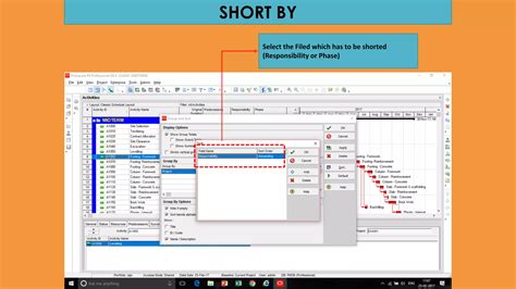 Image result for Primavera Tutorial Free