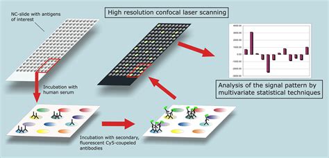 Custom Protein Microarrays-साठीचा प्रतिमा निकाल
