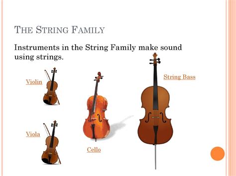 Image result for Musical Instruments String Family