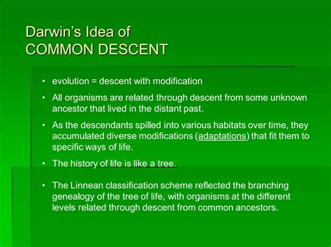 Image result for Scientific Theory of Evolution