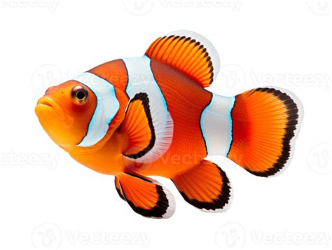 Image result for Transparent Snapping Fingers