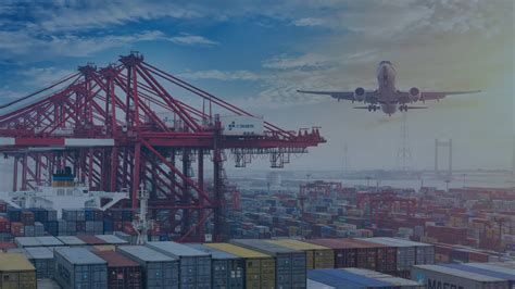 Protus に対する画像結果