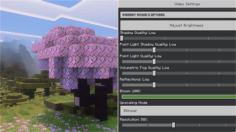 Image result for Java Minecraft Pro Settings