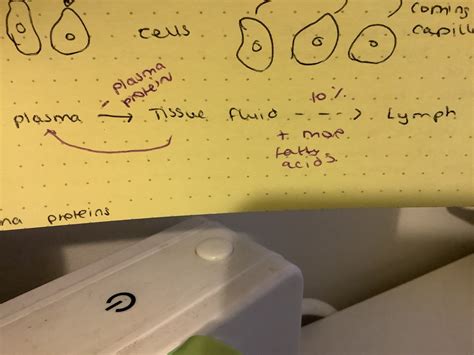 Image result for Simulation of Tissue Fluid