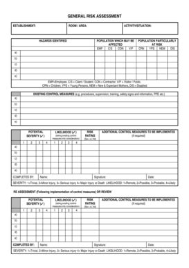Image result for UK MCA Risk Assessment Form PDF