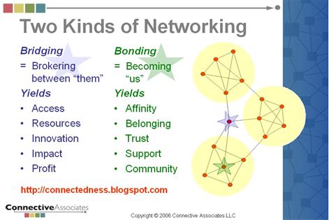 Image result for Networking and Social Capital