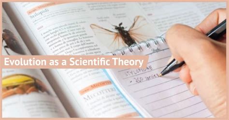 Image result for Scientific Theory of Evolution