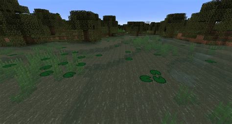 Image result for Swamp Biome Minecraft