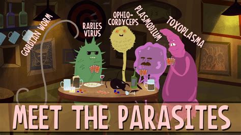 Image result for Parasitism Animation