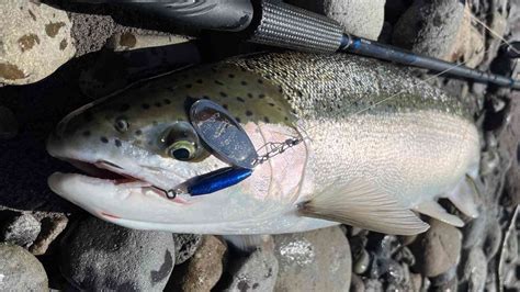 Fishing Hook Logo के लिए छवि परिणाम