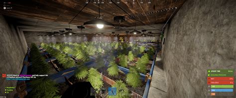 Afbeeldingsresultaten voor Perfect Hemp Clone Rust