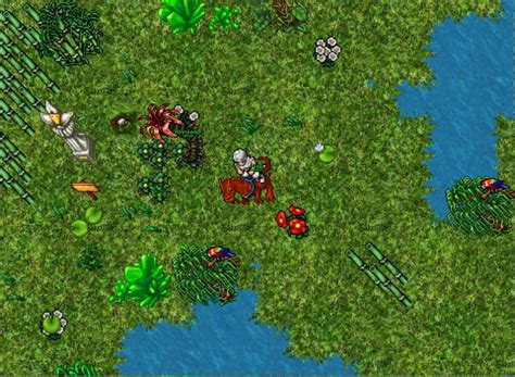 Custom RL Maps に対する画像結果