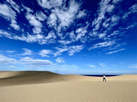 Image result for 鳥取 砂丘