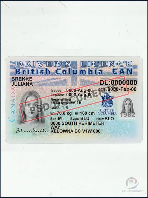 BC Driver's License Example に対する画像結果