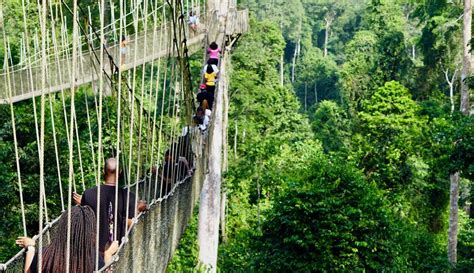 Source Code Lab に対する画像結果