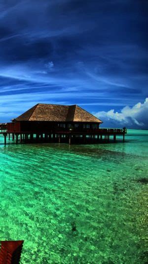 Image result for Paradise Pier Roblox