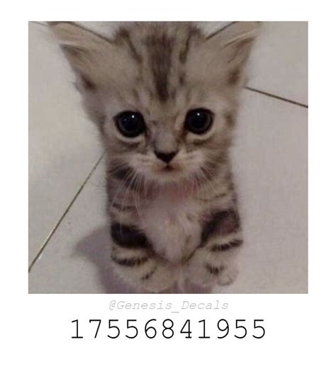 Toradh íomhá ar Roblox Sample to Paint