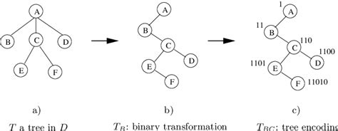 Image result for Transforming a Forest into a Binary Tree in Data Structure