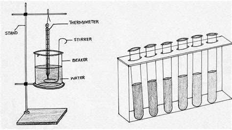 Toradh íomhá ar 9th Science Daigrams