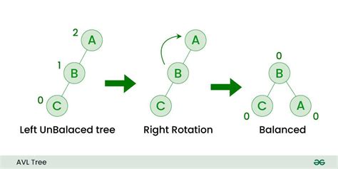 Toradh íomhá ar Forest Tree Data Structure
