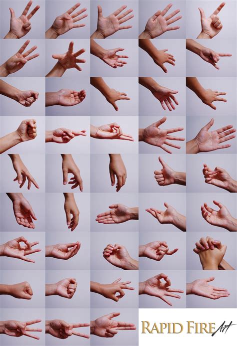 Toradh íomhá ar Artist Hand Reference