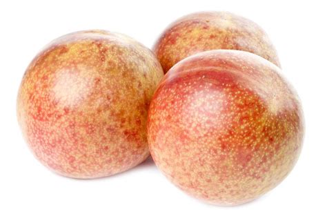 Image result for Red Plumcot