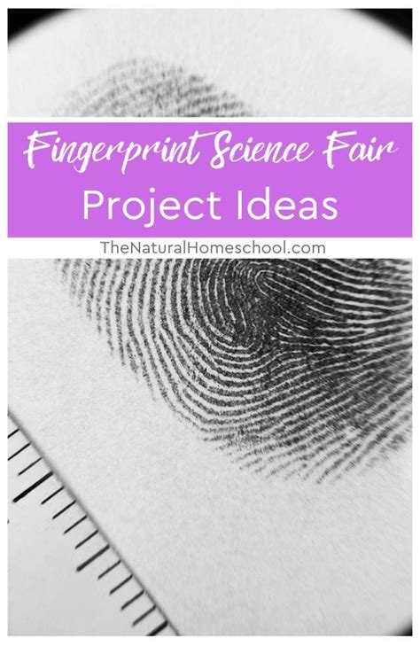 Image result for Fingerprint Science Fair Project