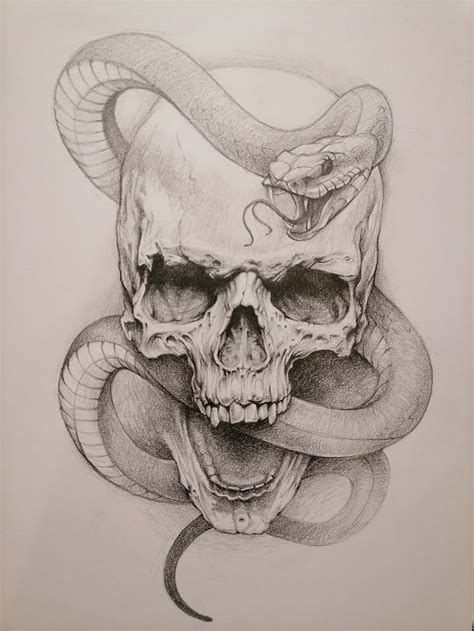 Afbeeldingsresultaten voor Snake Skull Drawing