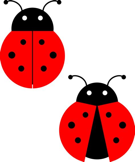 Image result for Clip Art Ladybug