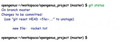 Image result for Git Track File