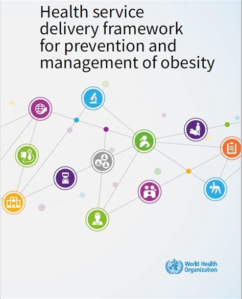 Afbeeldingsresultaten voor Service Delivery Framework