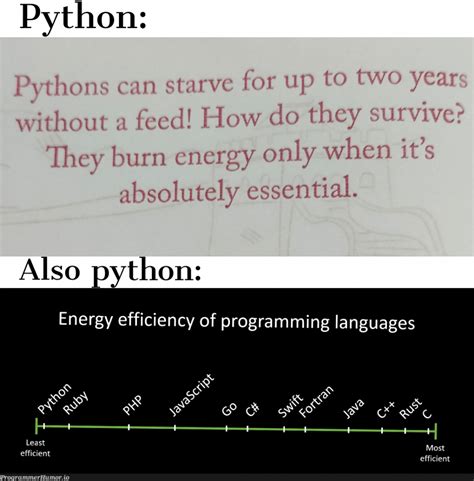 Image result for I AM Python Developer Meme