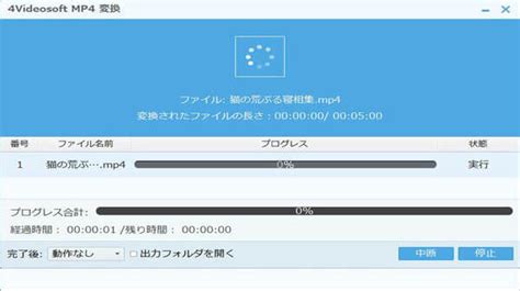 Image result for MP4 Video Cool