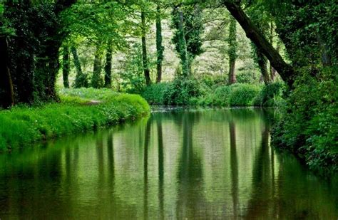 Image result for Green Nature Explanation