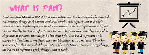 Pam Implementation Methodology に対する画像結果